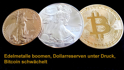 Edelmetalle boomen, Dollarreserven unter Druck, Bitcoin schwächelt (Finanzwelt)